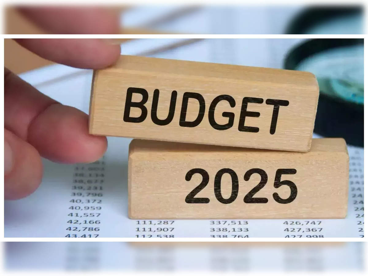 What Indian Startups Are Hoping for in Budget 2025: A Wishlist for Growth
